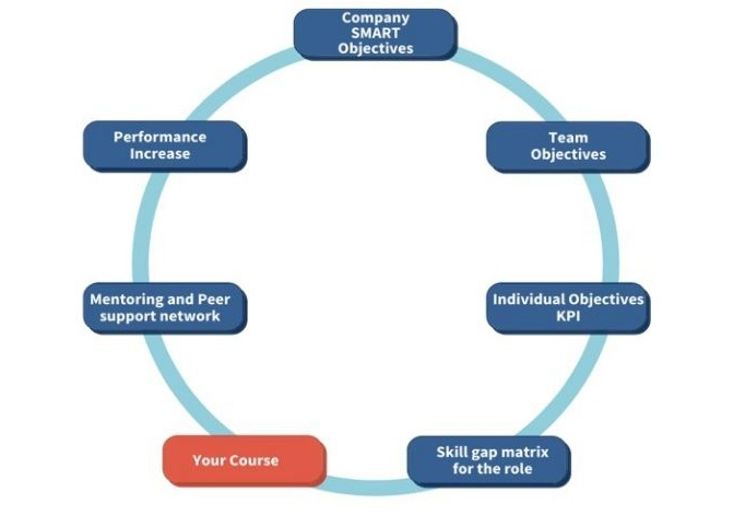 Structured flow of professional development - ideal