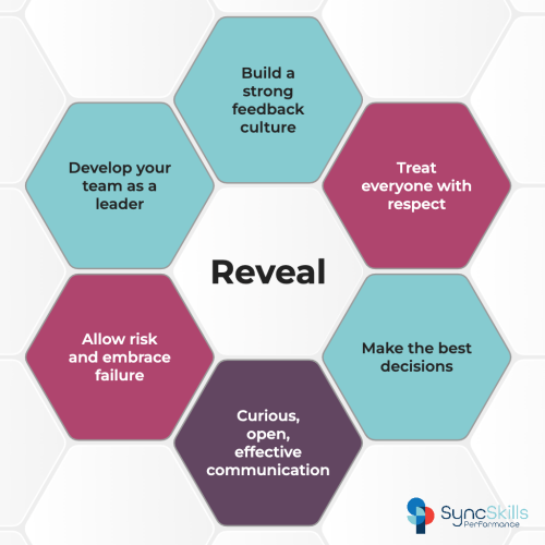 SyncSkills Performance – Reveal Programme SyncSkills Performance - REVEAL programme